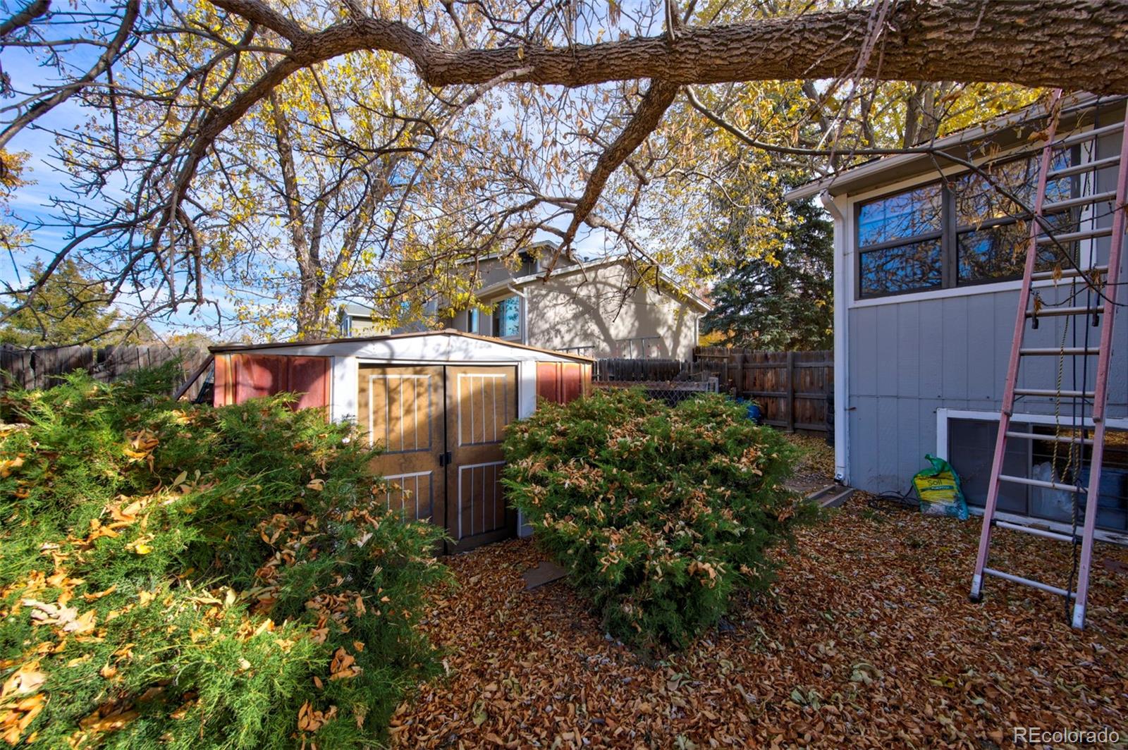 7447 Newland Street Arvada CO 80003