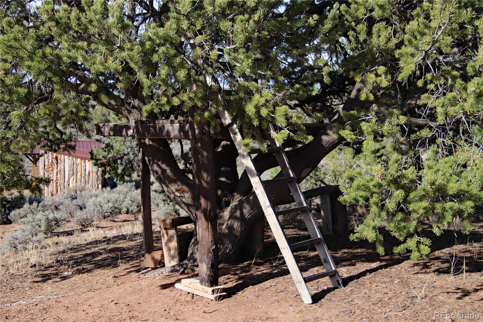 6132 Running Horse Trail San Luis CO 81152