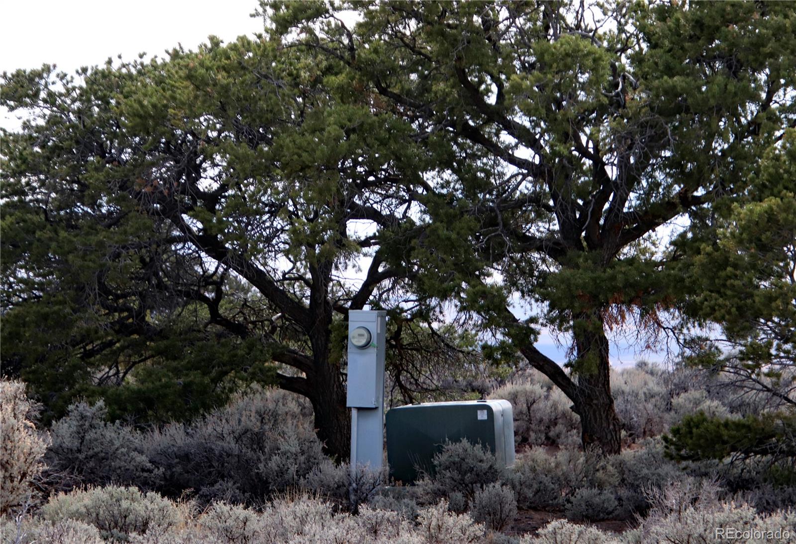 6132 Running Horse Trail San Luis CO 81152