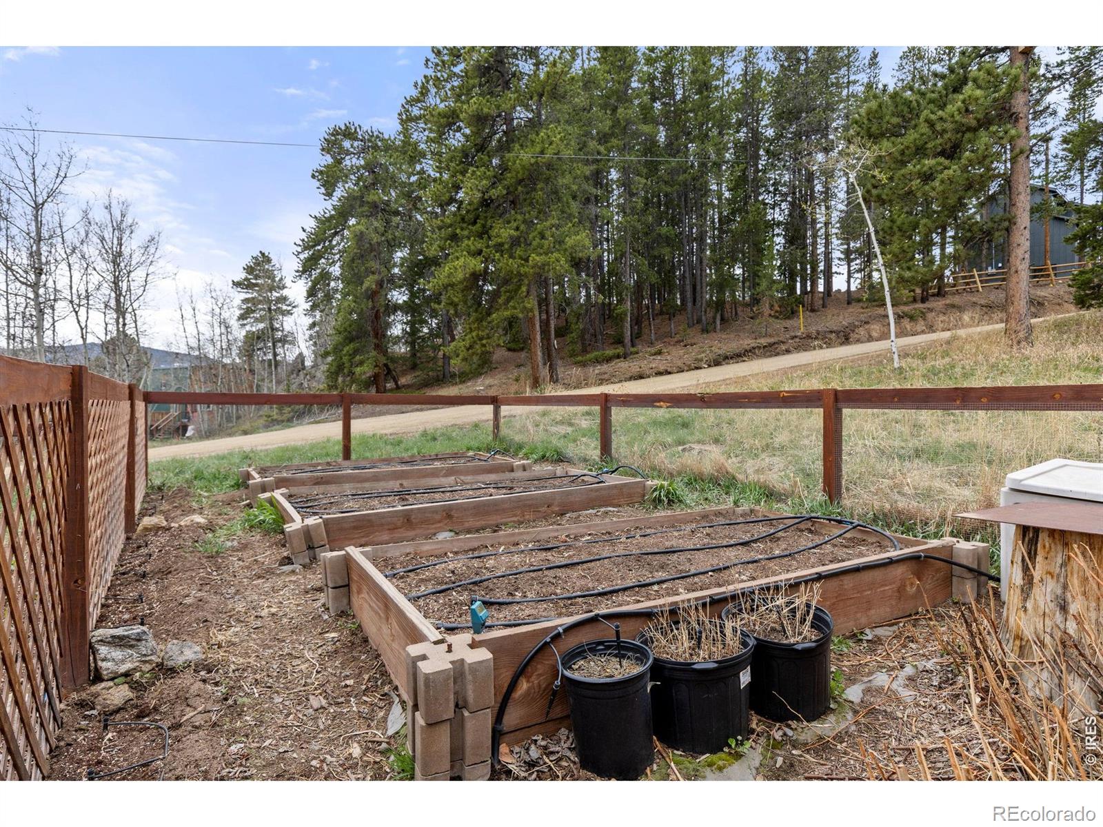 307 Dudes Drive Rollinsville CO 80474
