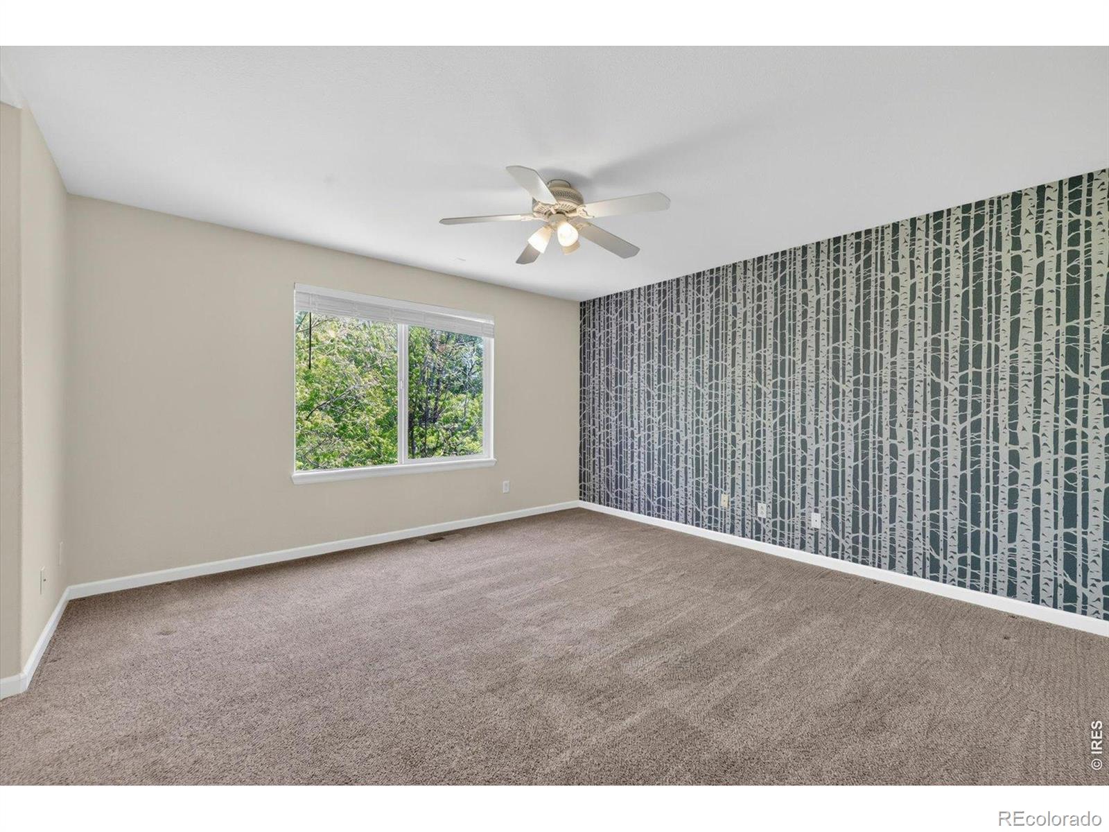 1106 Button Rock Drive Longmont CO 80504