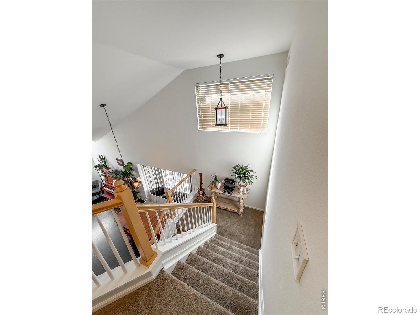 1233 Button Rock Drive Longmont CO 80504