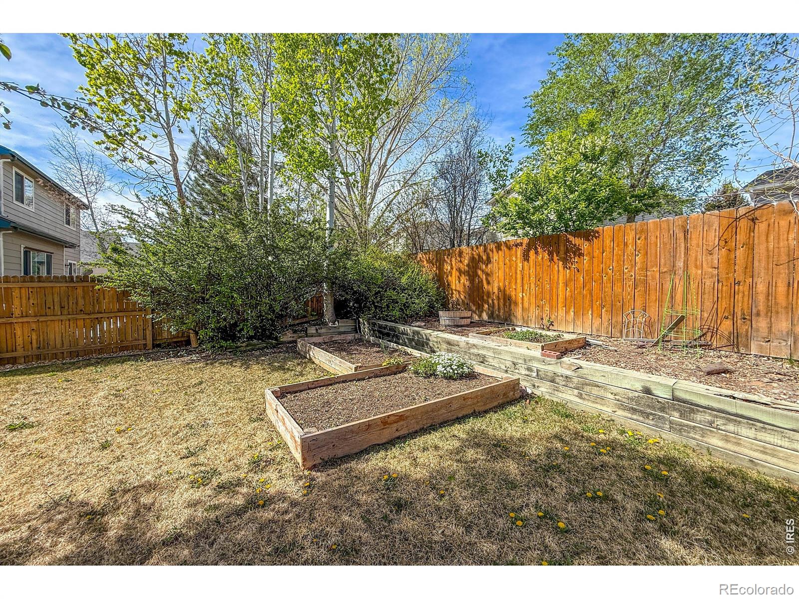 1233 Button Rock Drive Longmont CO 80504