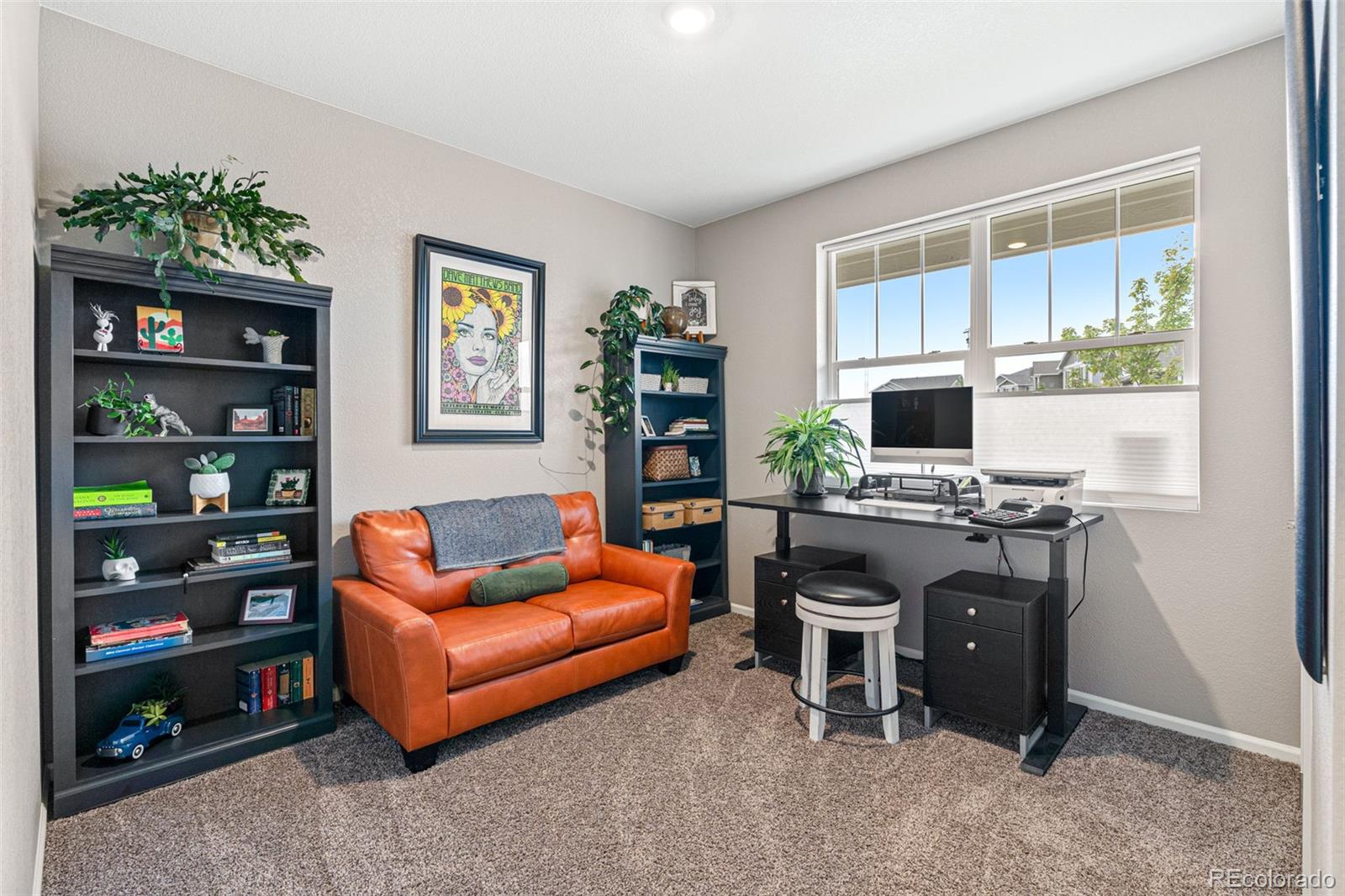 10054 Carefree Street Firestone CO 80504