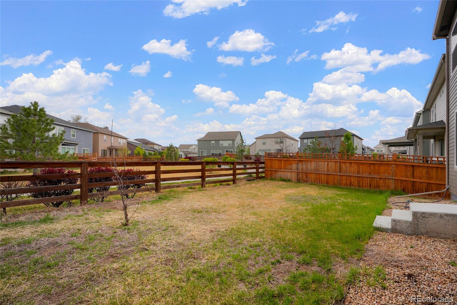 4413 Lyceum Court Timnath CO 80547