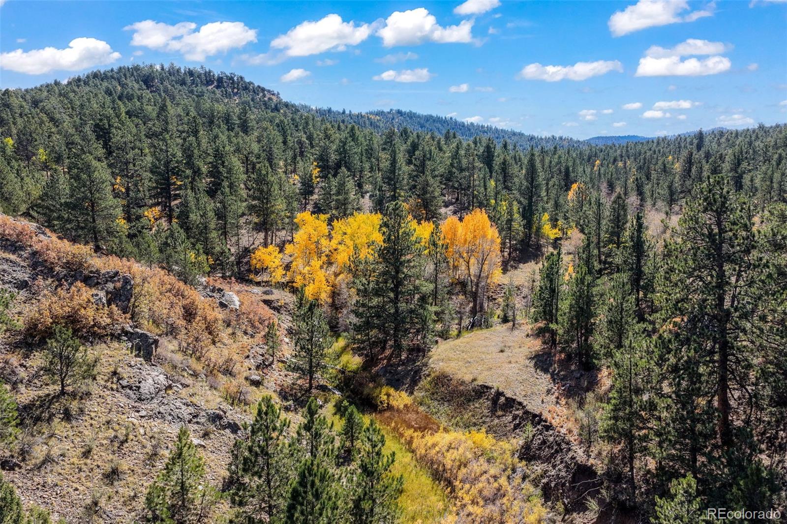 838 County Road 260 Westcliffe CO 81252