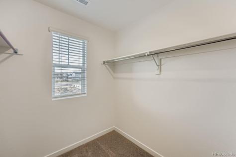 7813 Long Chute Trail Colorado Springs CO 80908