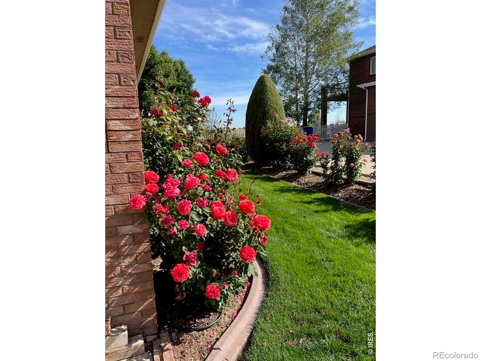 2238 Breckenridge Drive Berthoud CO 80513