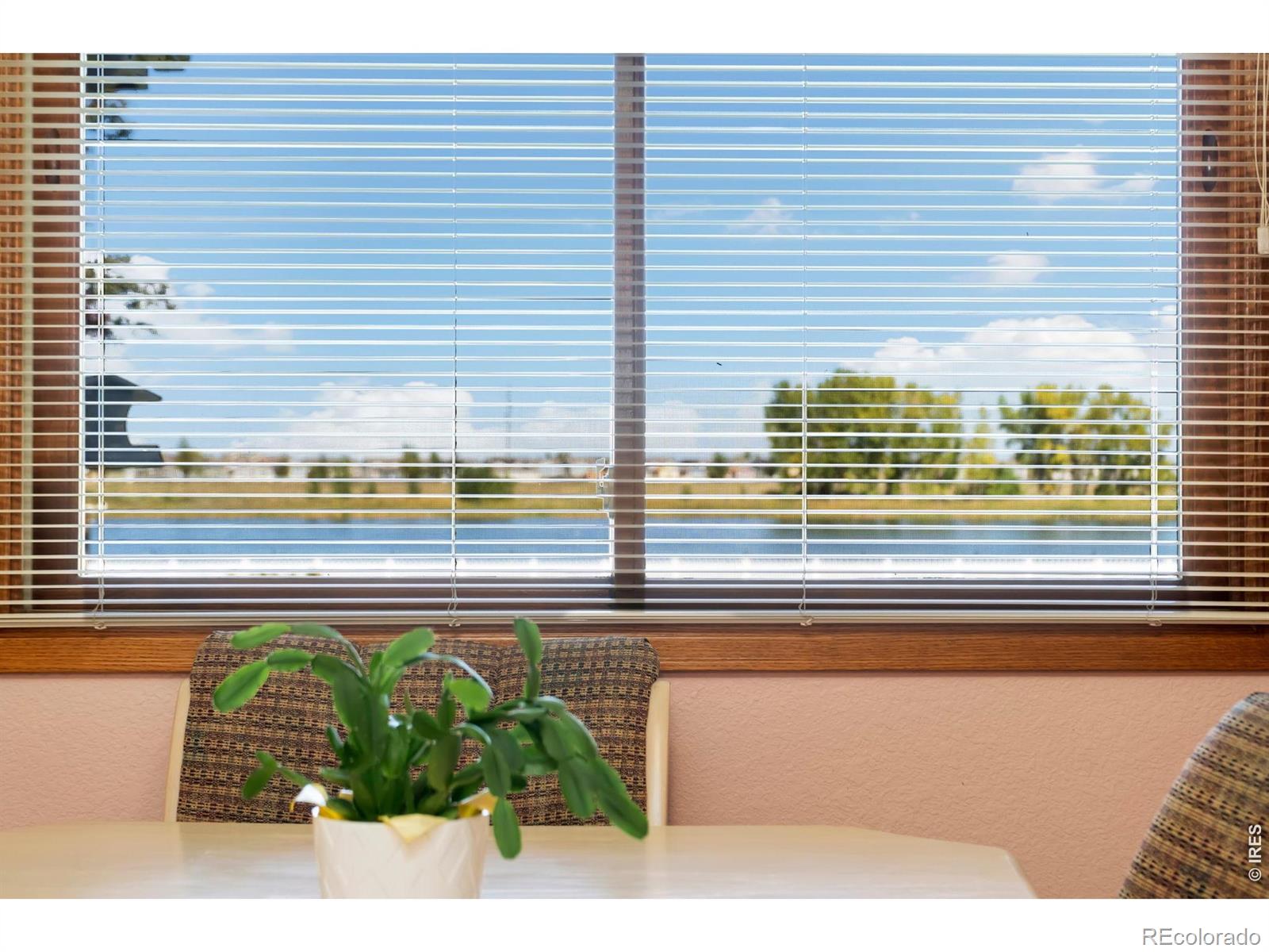 2238 Breckenridge Drive Berthoud CO 80513