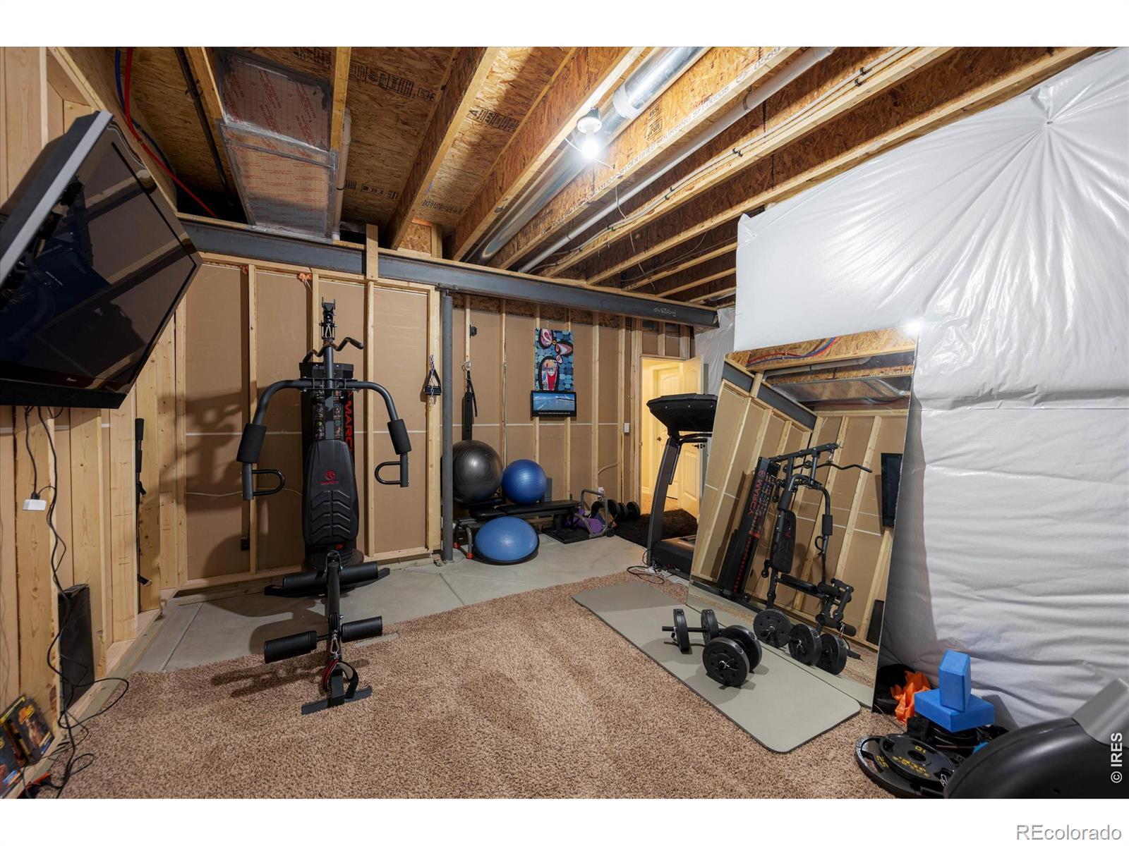 4373 Lemon Grass Drive Johnstown CO 80534