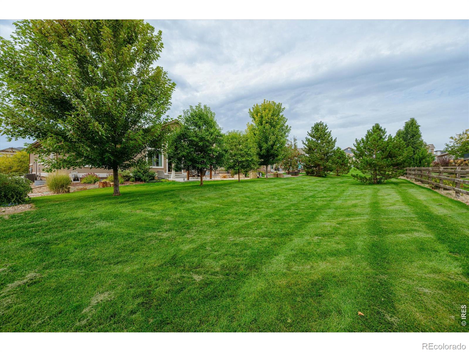 4373 Lemon Grass Drive Johnstown CO 80534