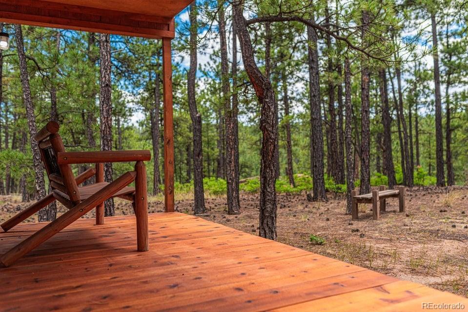 13250 Mountain Meadow Trace Weston CO 81091