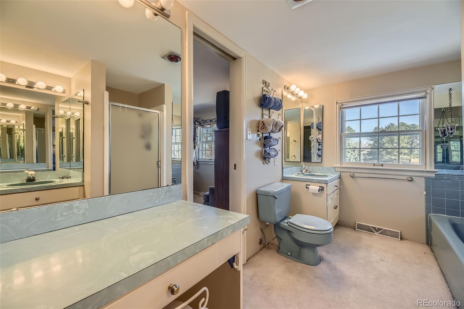 13 Wedge Way Littleton CO 80123