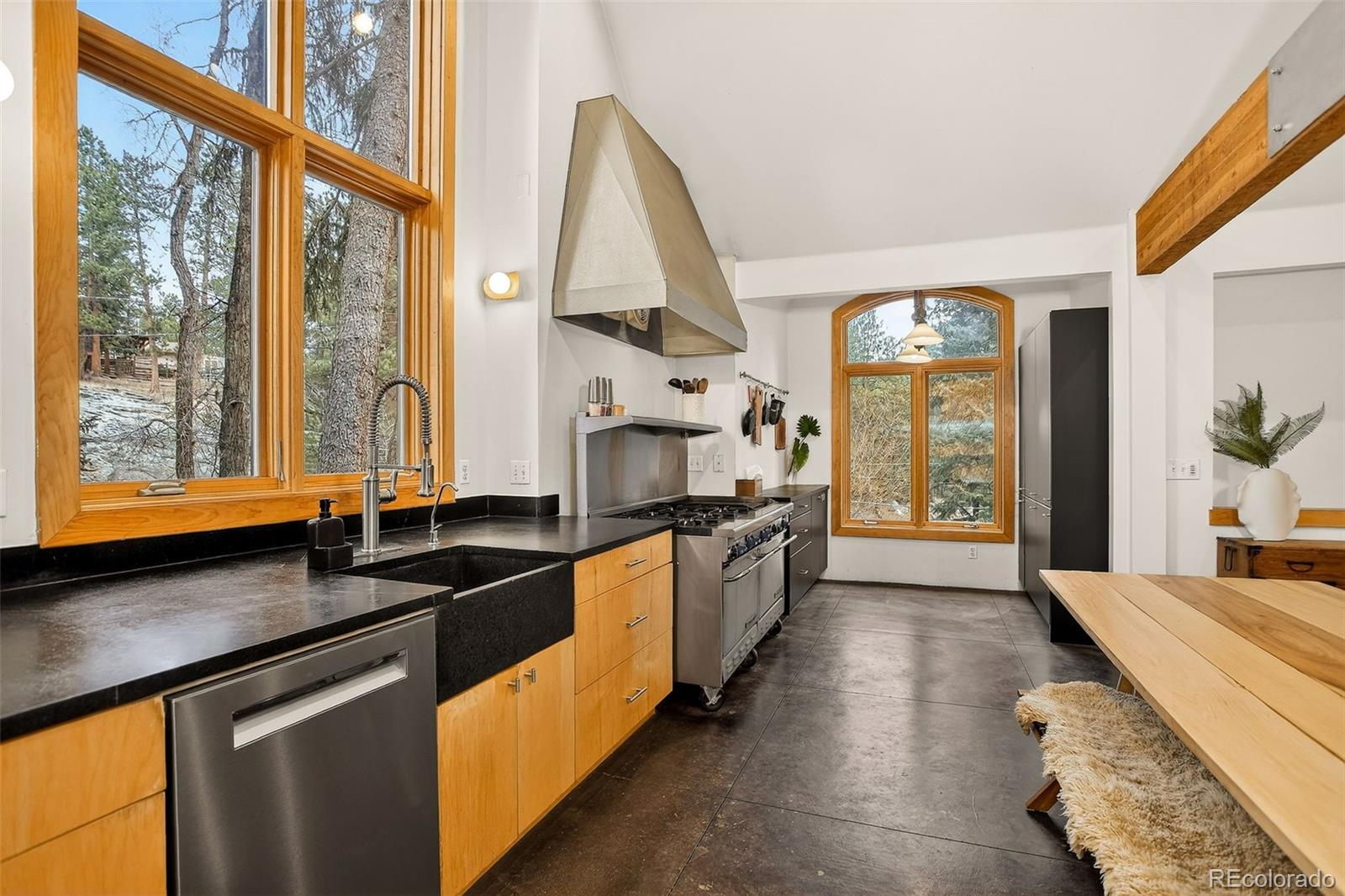 24844 N Turkey Creek Road Evergreen CO 80439