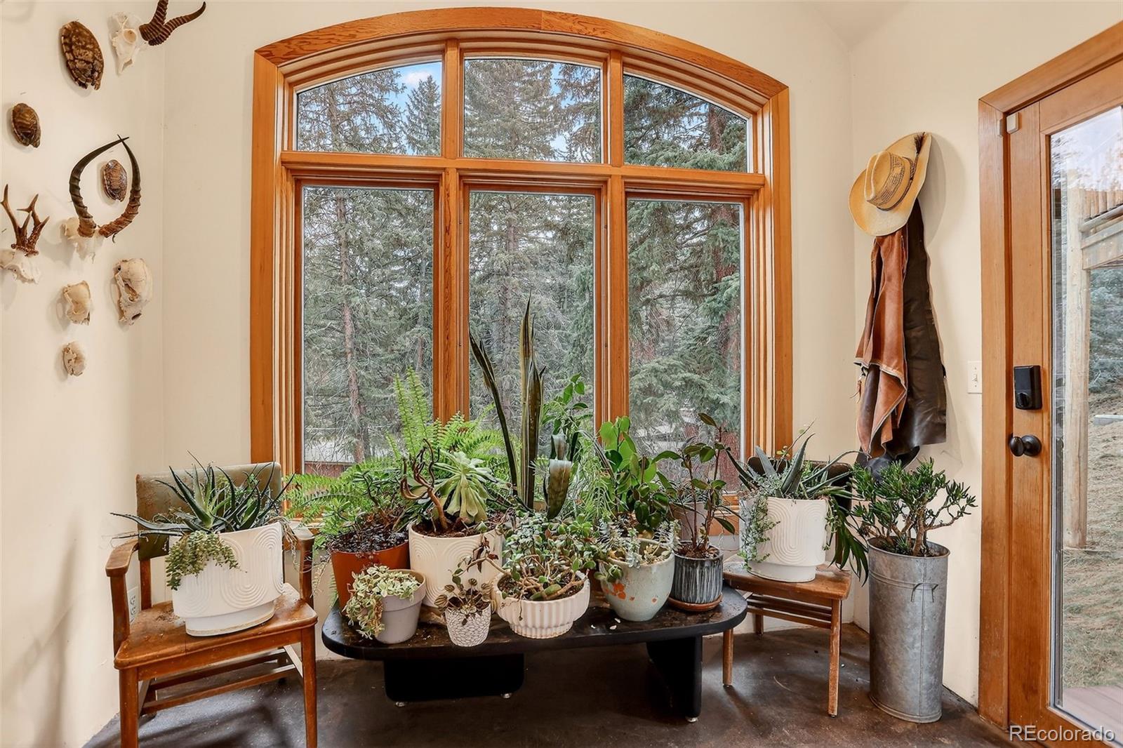 24844 N Turkey Creek Road Evergreen CO 80439