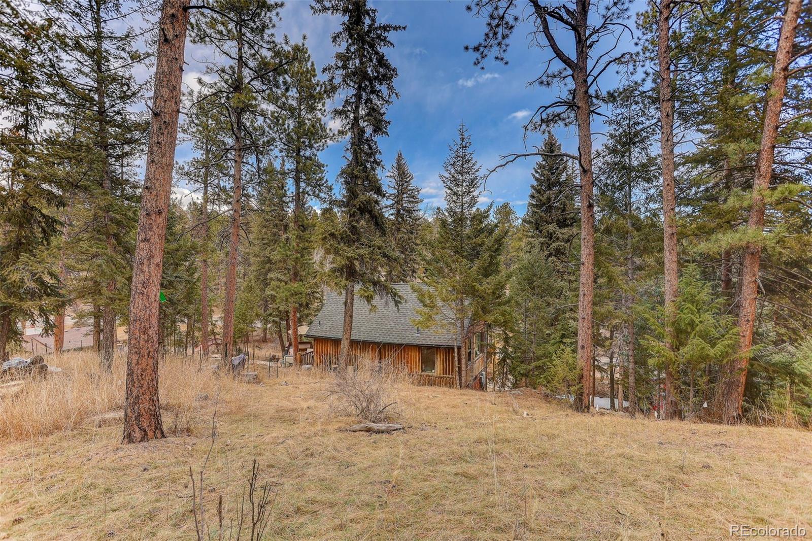 24844 N Turkey Creek Road Evergreen CO 80439