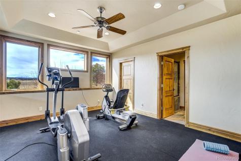 19155 Lochmere Court Monument CO 80132