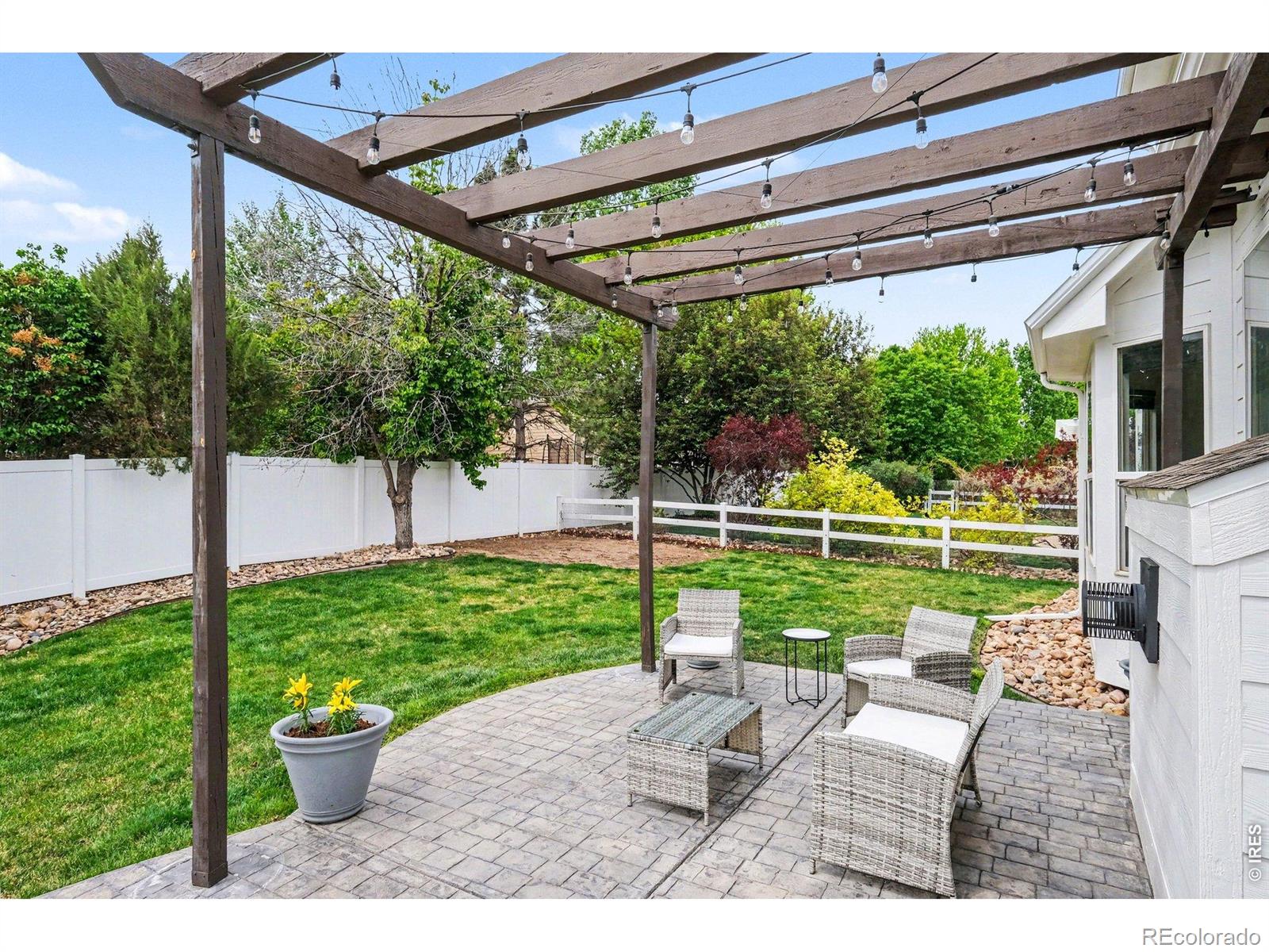 101 Whitney Court Windsor CO 80550