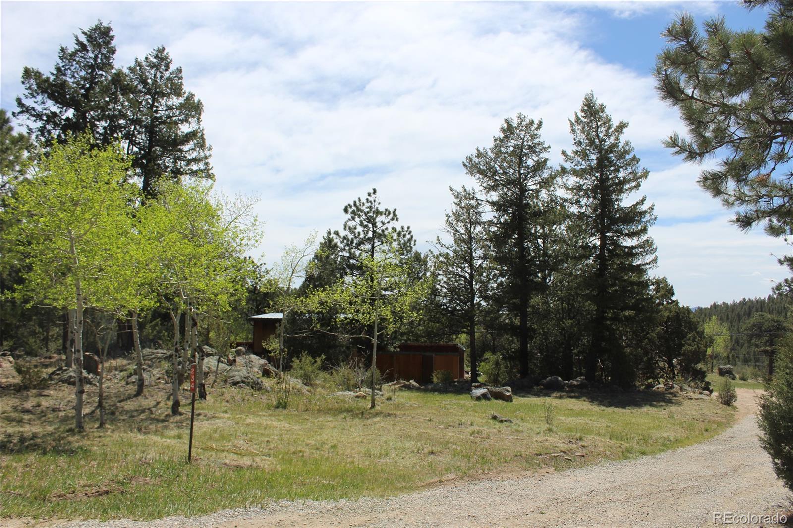 234 Panorama Drive Bailey CO 80421