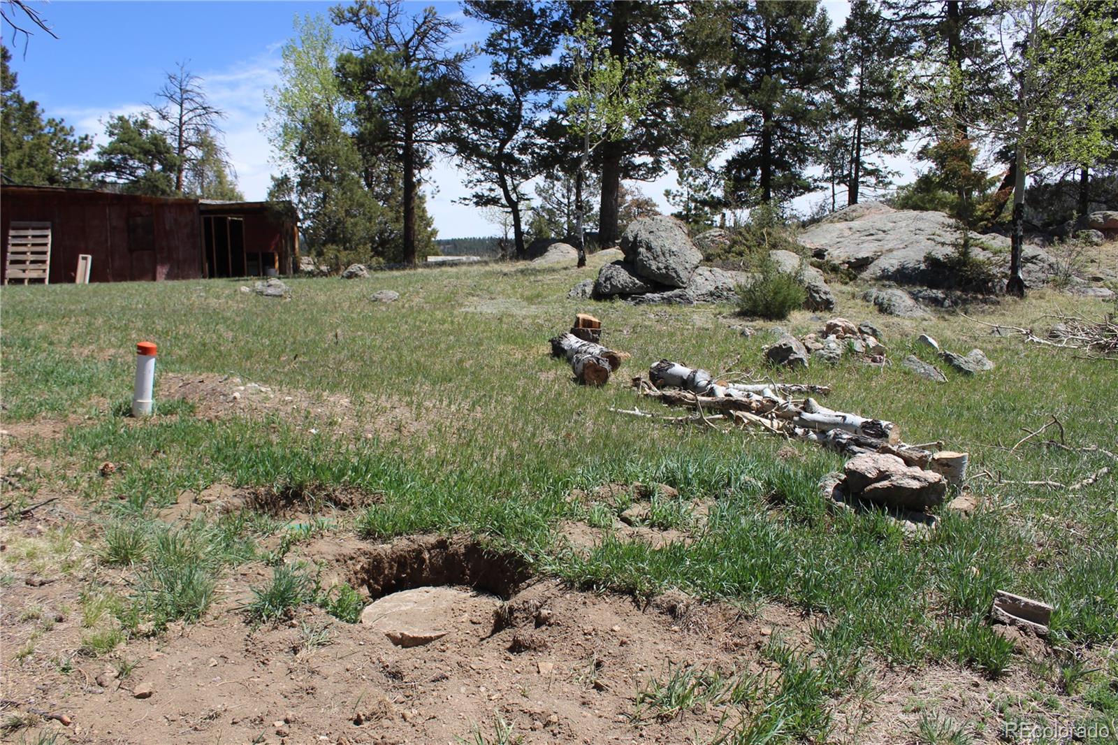 234 Panorama Drive Bailey CO 80421