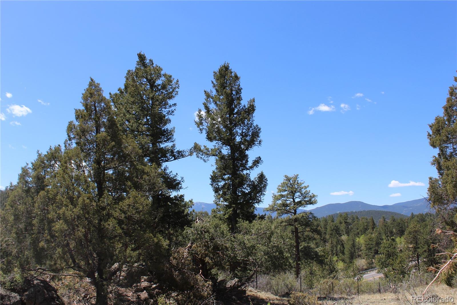 234 Panorama Drive Bailey CO 80421