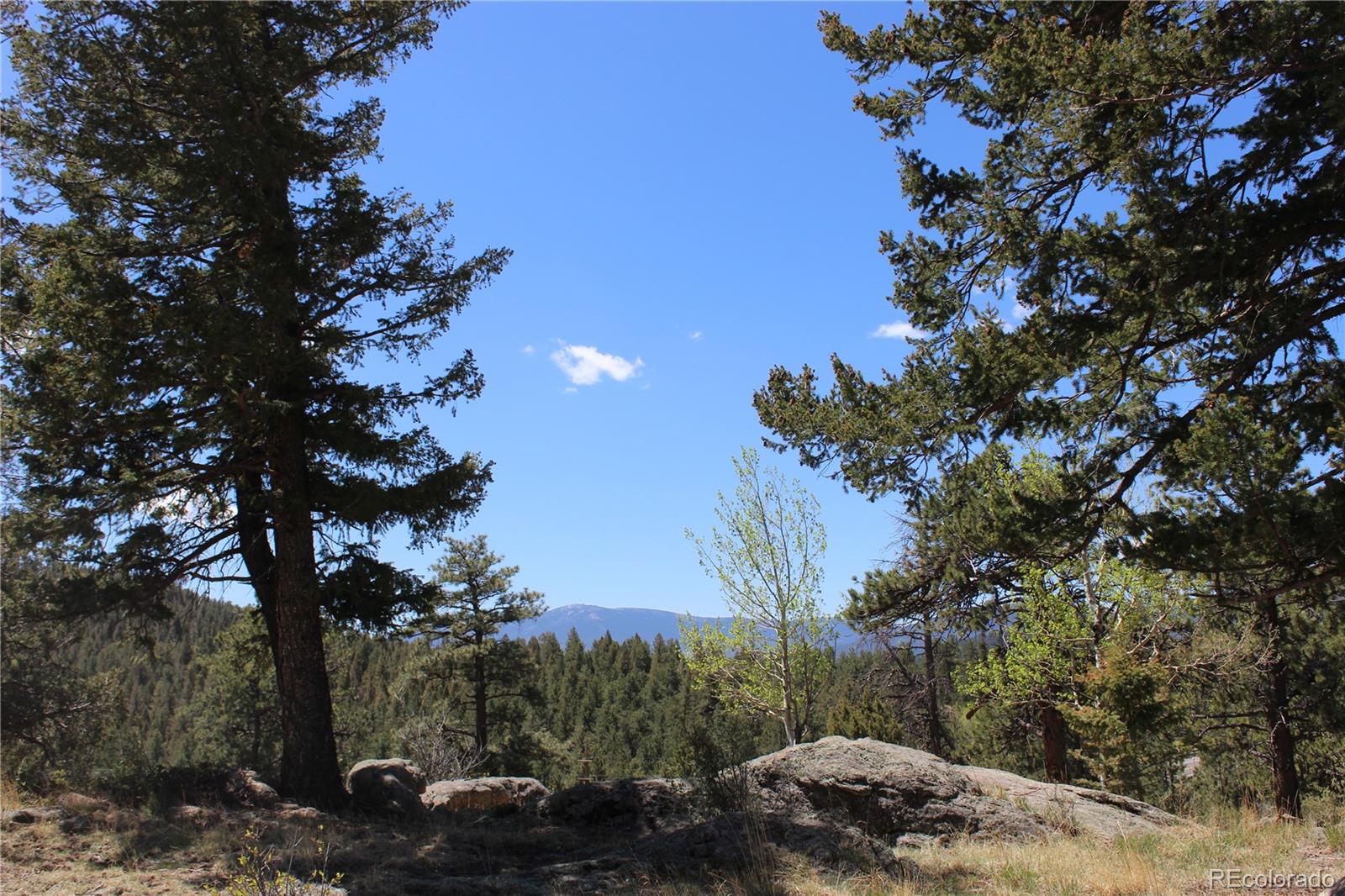 234 Panorama Drive Bailey CO 80421