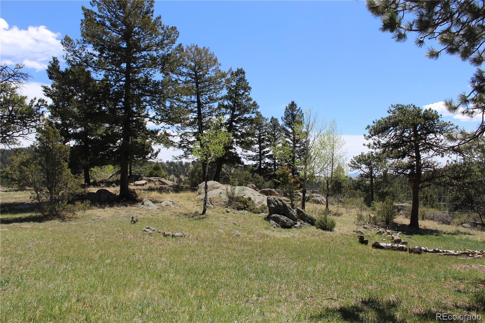 234 Panorama Drive Bailey CO 80421