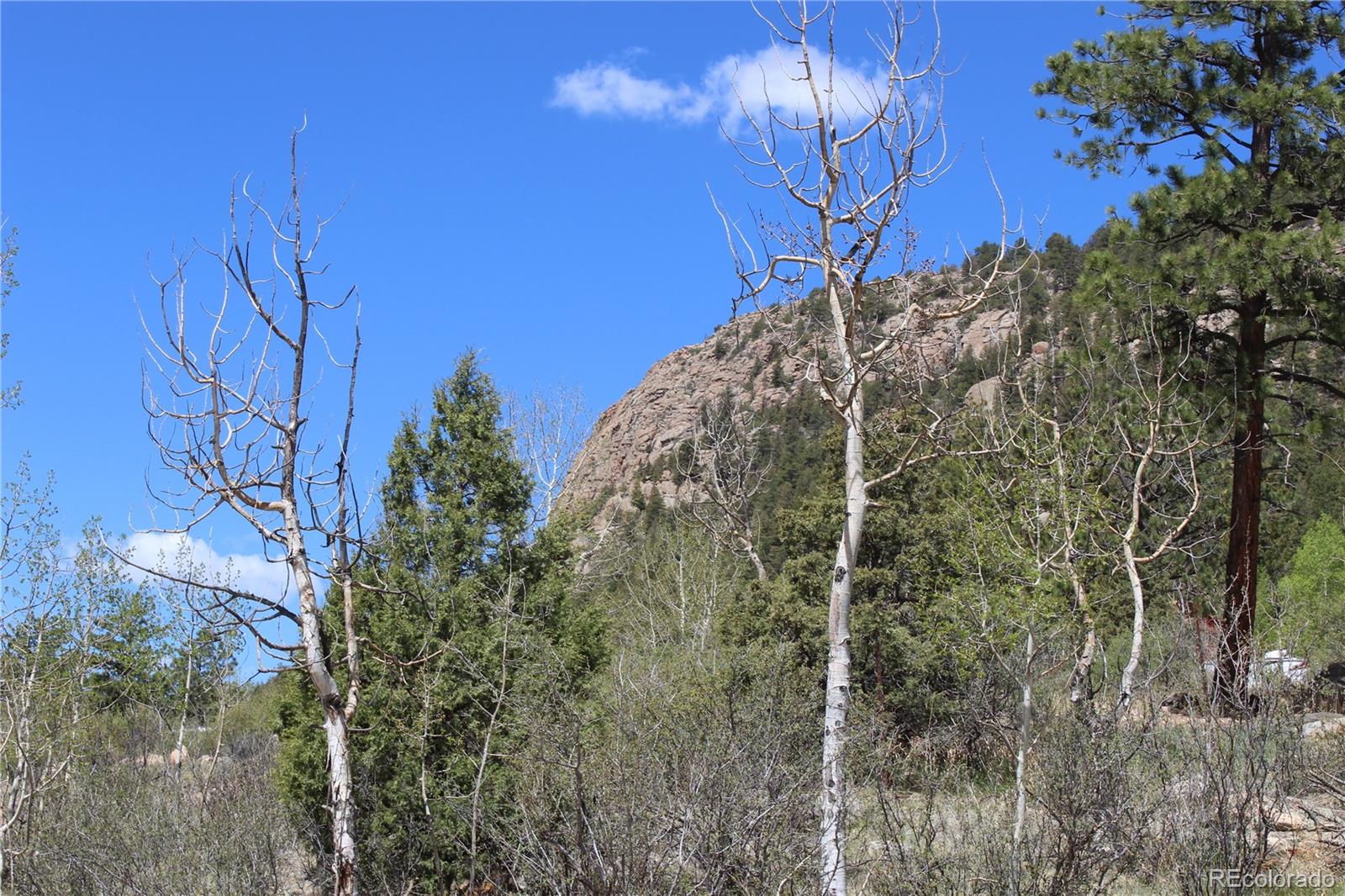 234 Panorama Drive Bailey CO 80421