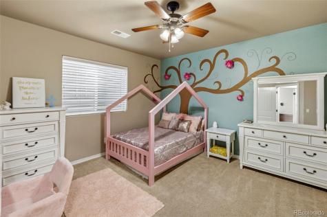 1102 Crystal Basin Drive Colorado Springs CO 80921