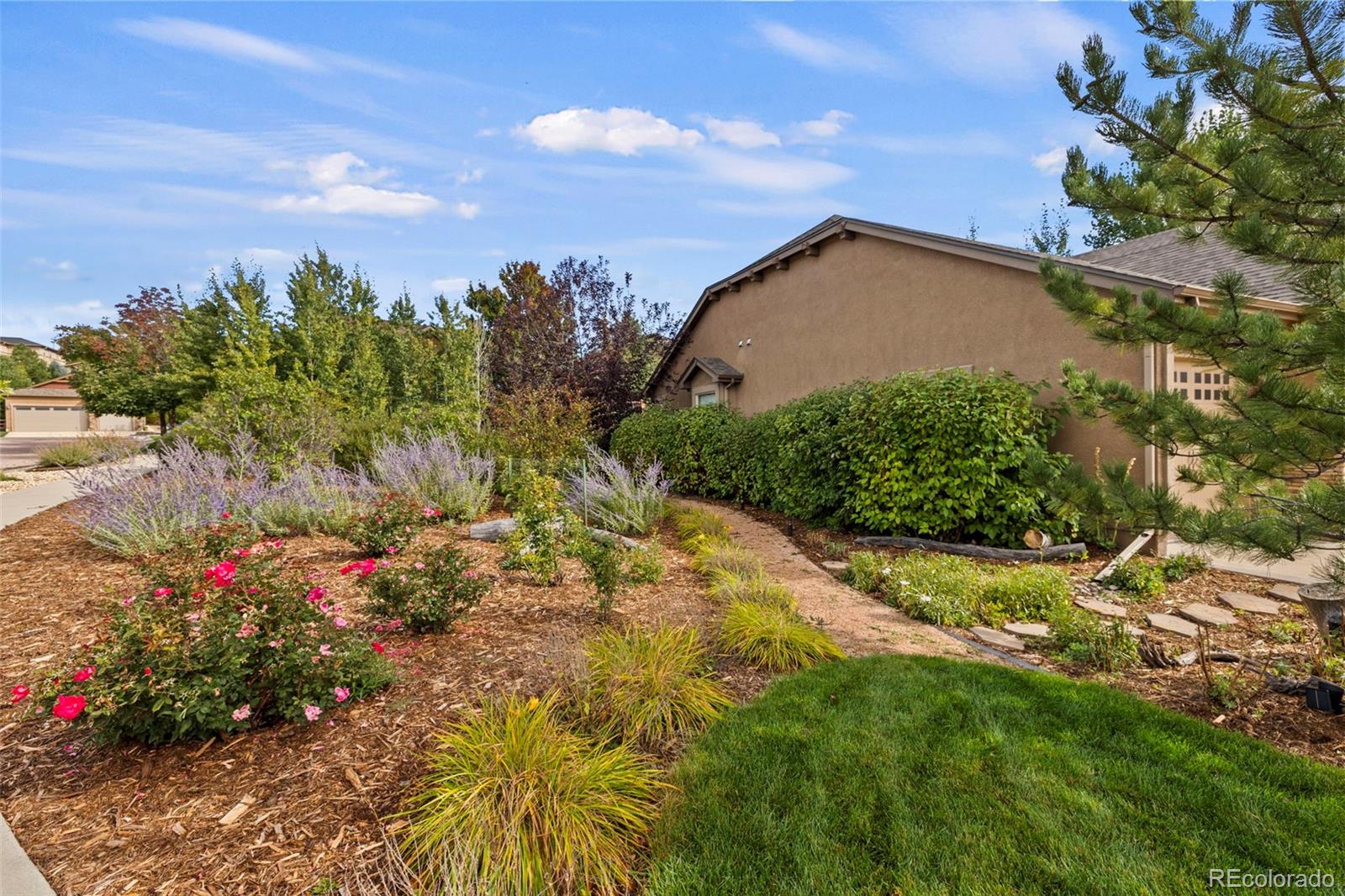 1102 Crystal Basin Drive Colorado Springs CO 80921