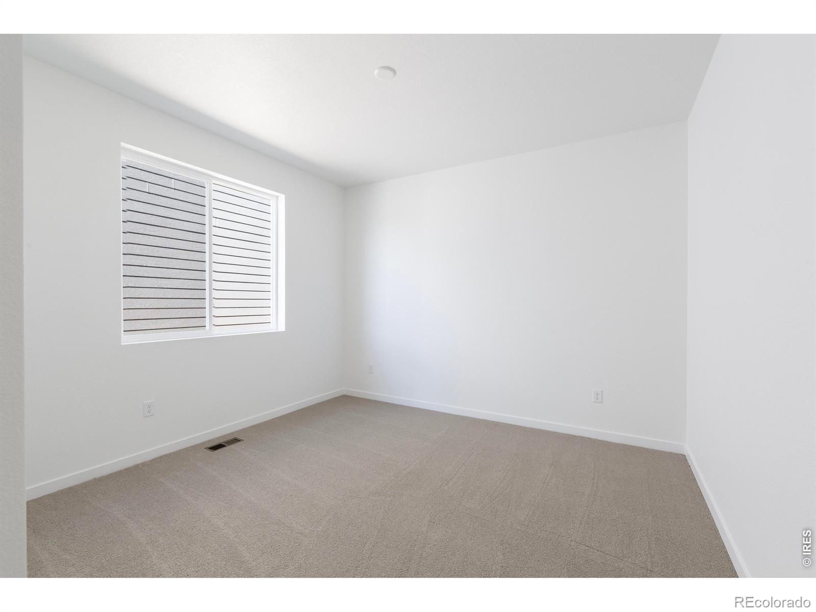 1454 Boyle Street Windsor CO 80550