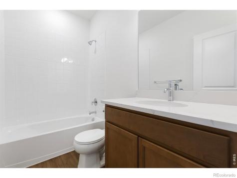 1454 Boyle Street Windsor CO 80550
