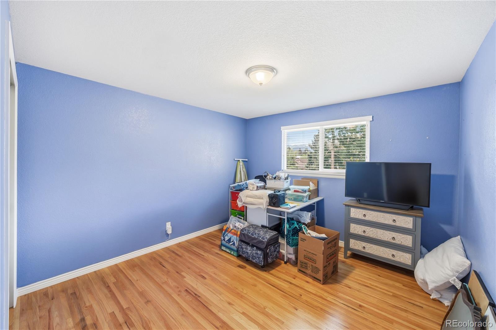 2122 Sussex Lane Colorado Springs CO 80909
