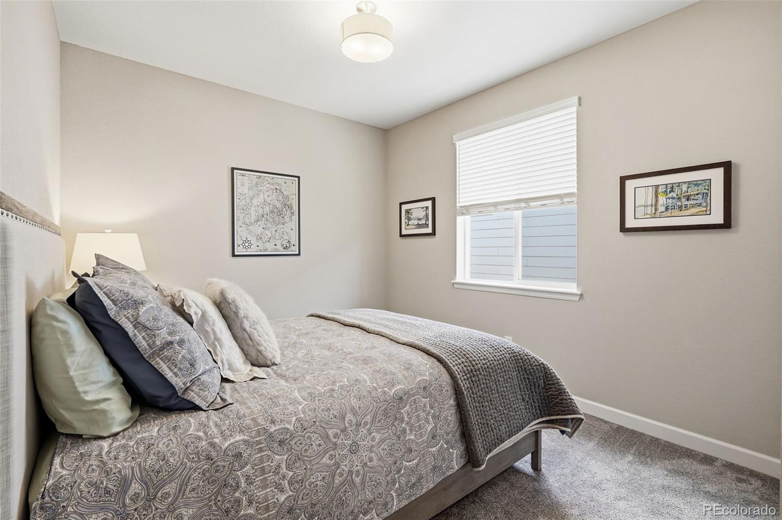 2185 Peralta Loop Castle Rock CO 80104