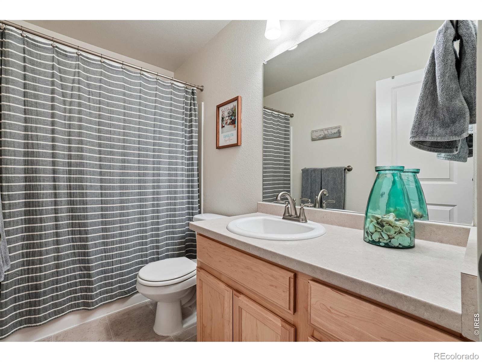 2336 Golden Way Windsor CO 80550