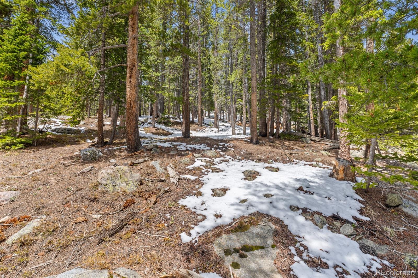 218 Brook Drive Idaho Springs CO 80452