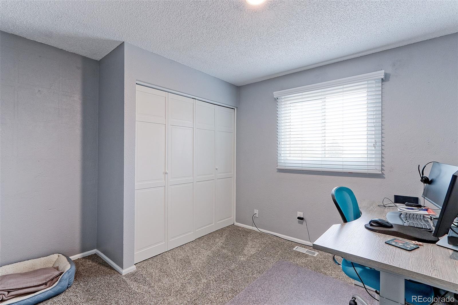 11314 Clermont Drive Thornton CO 80233