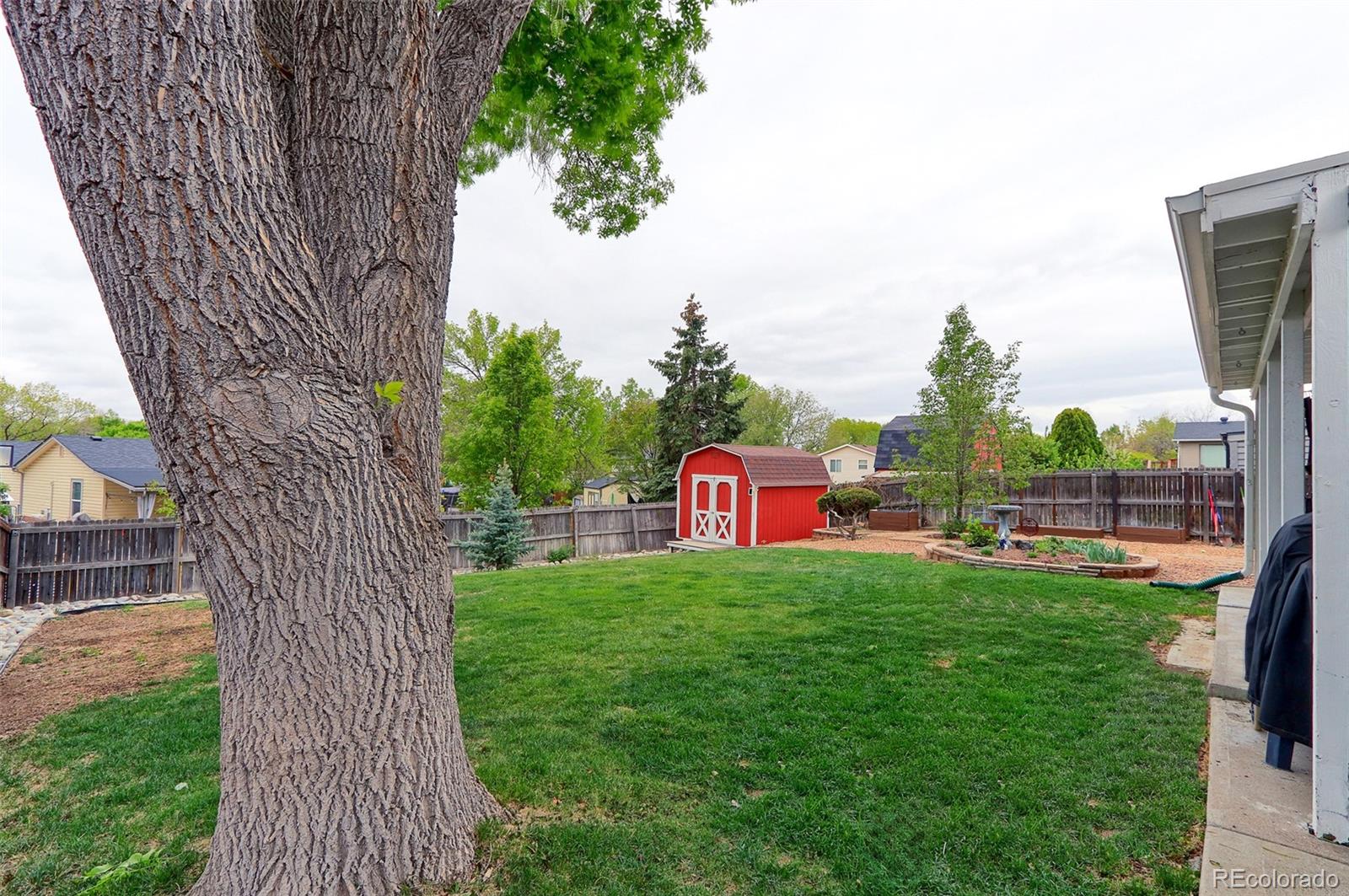 11314 Clermont Drive Thornton CO 80233