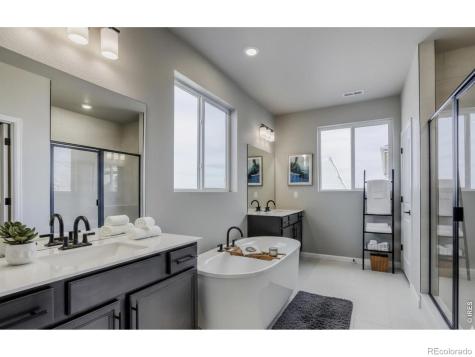 662 Noola Street Windsor CO 80550