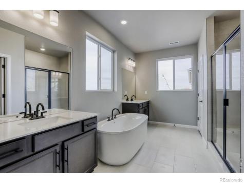 662 Noola Street Windsor CO 80550