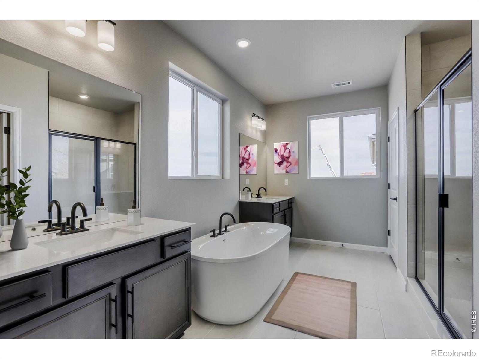 662 Noola Street Windsor CO 80550
