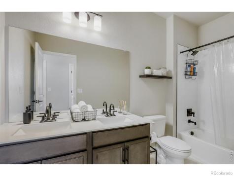 662 Noola Street Windsor CO 80550