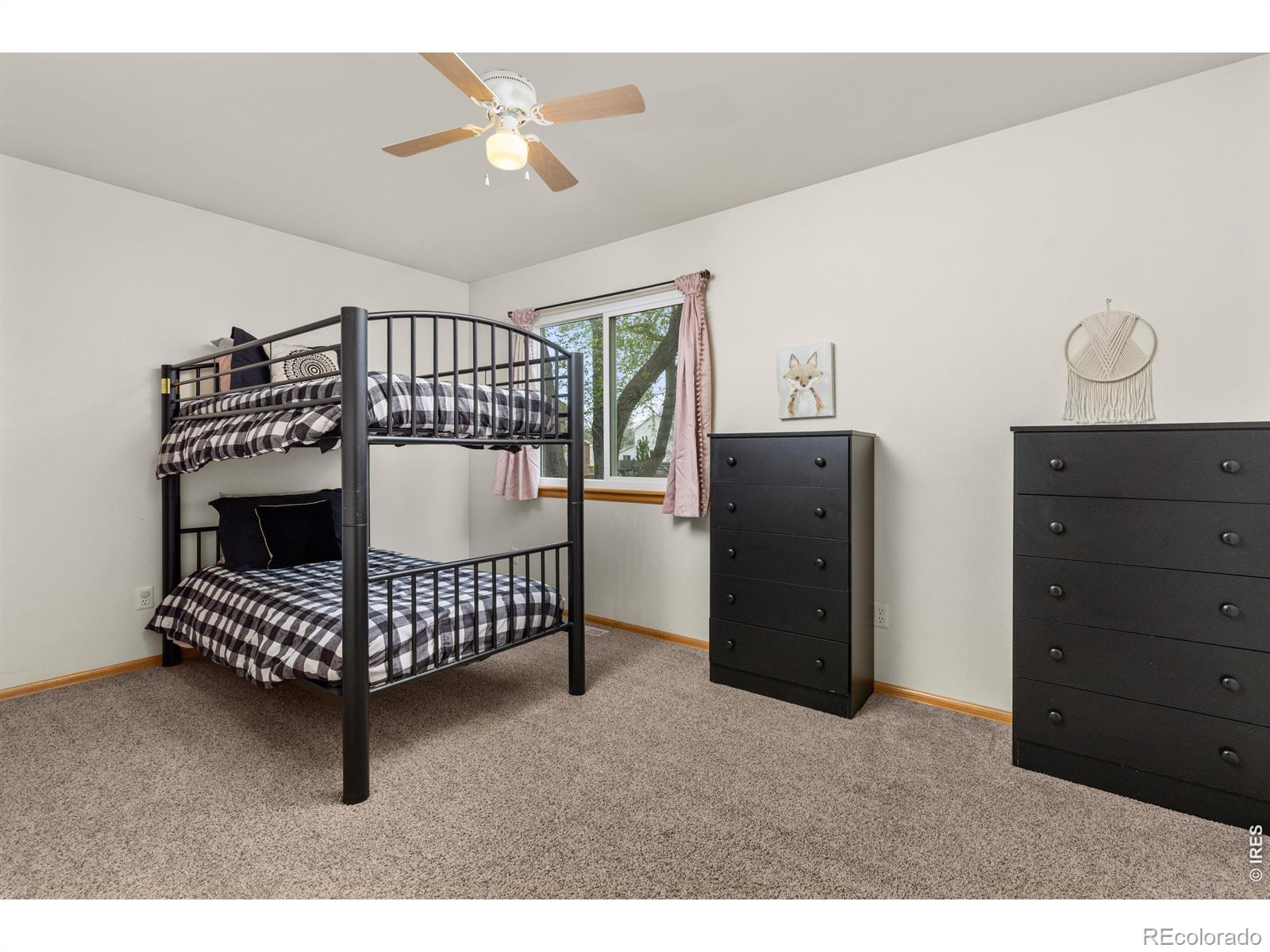 414 14th Street Windsor CO 80550