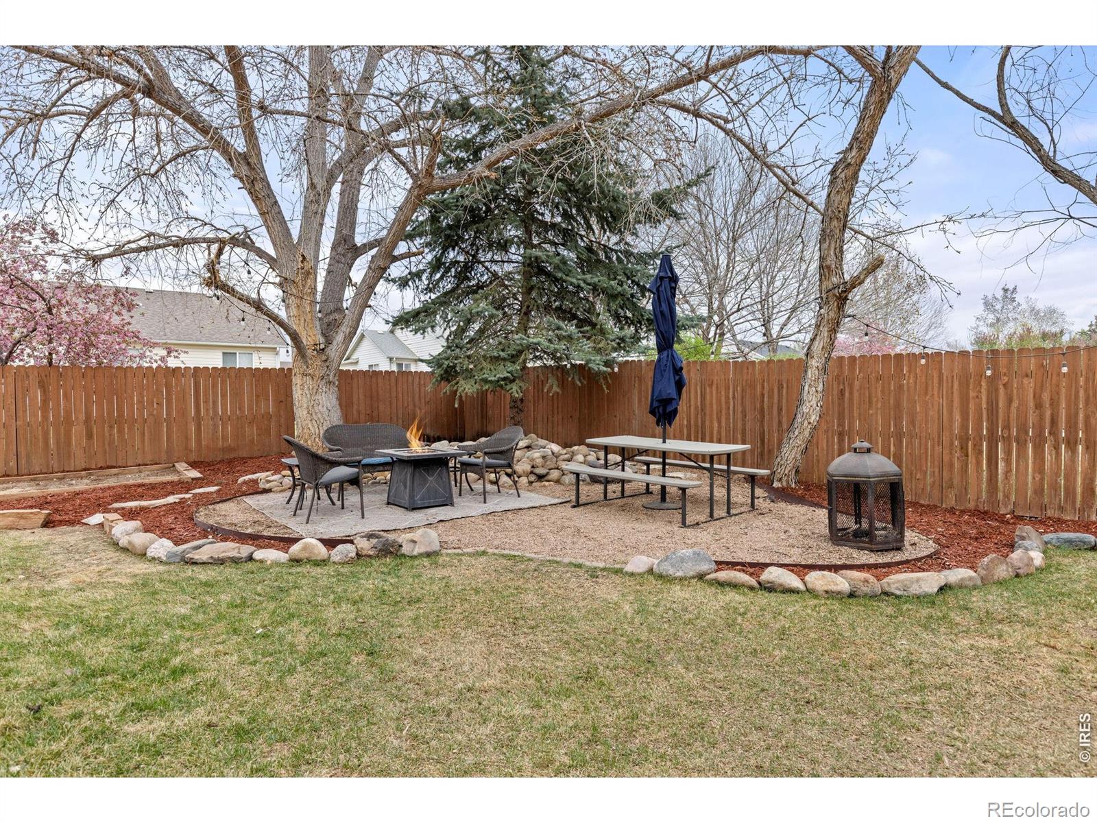 414 14th Street Windsor CO 80550