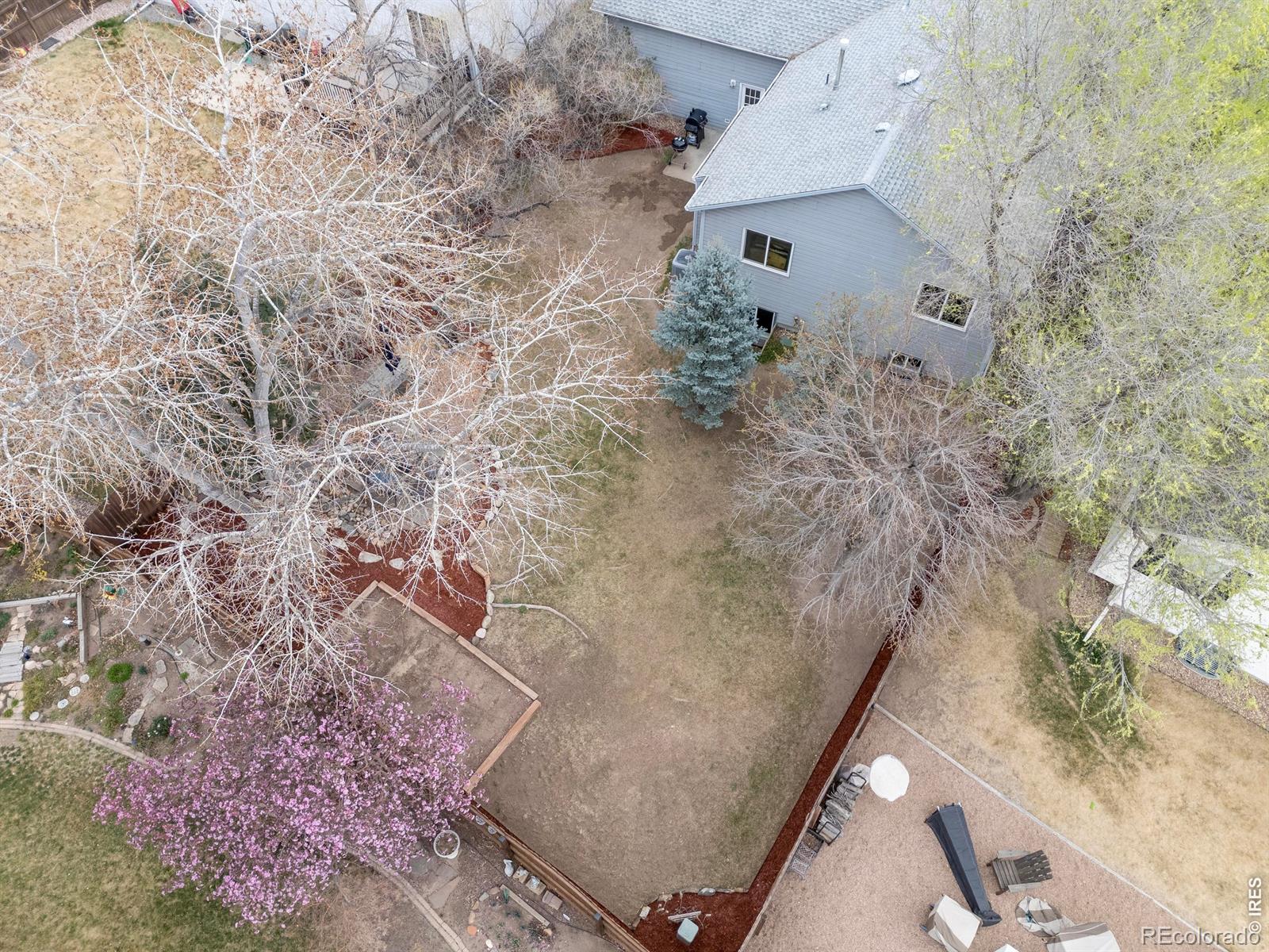 414 14th Street Windsor CO 80550