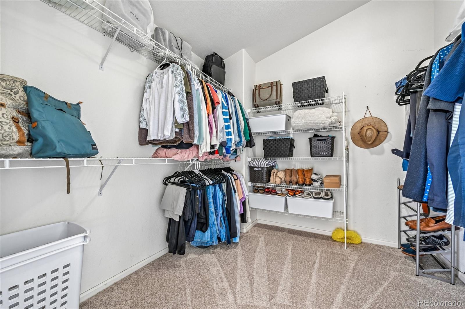 1167 Berganot Trail Castle Pines CO 80108