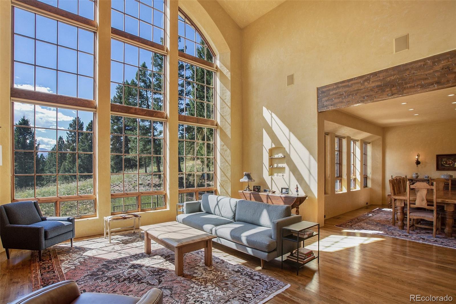 419 Lucky Lady Drive Woodland Park CO 80863