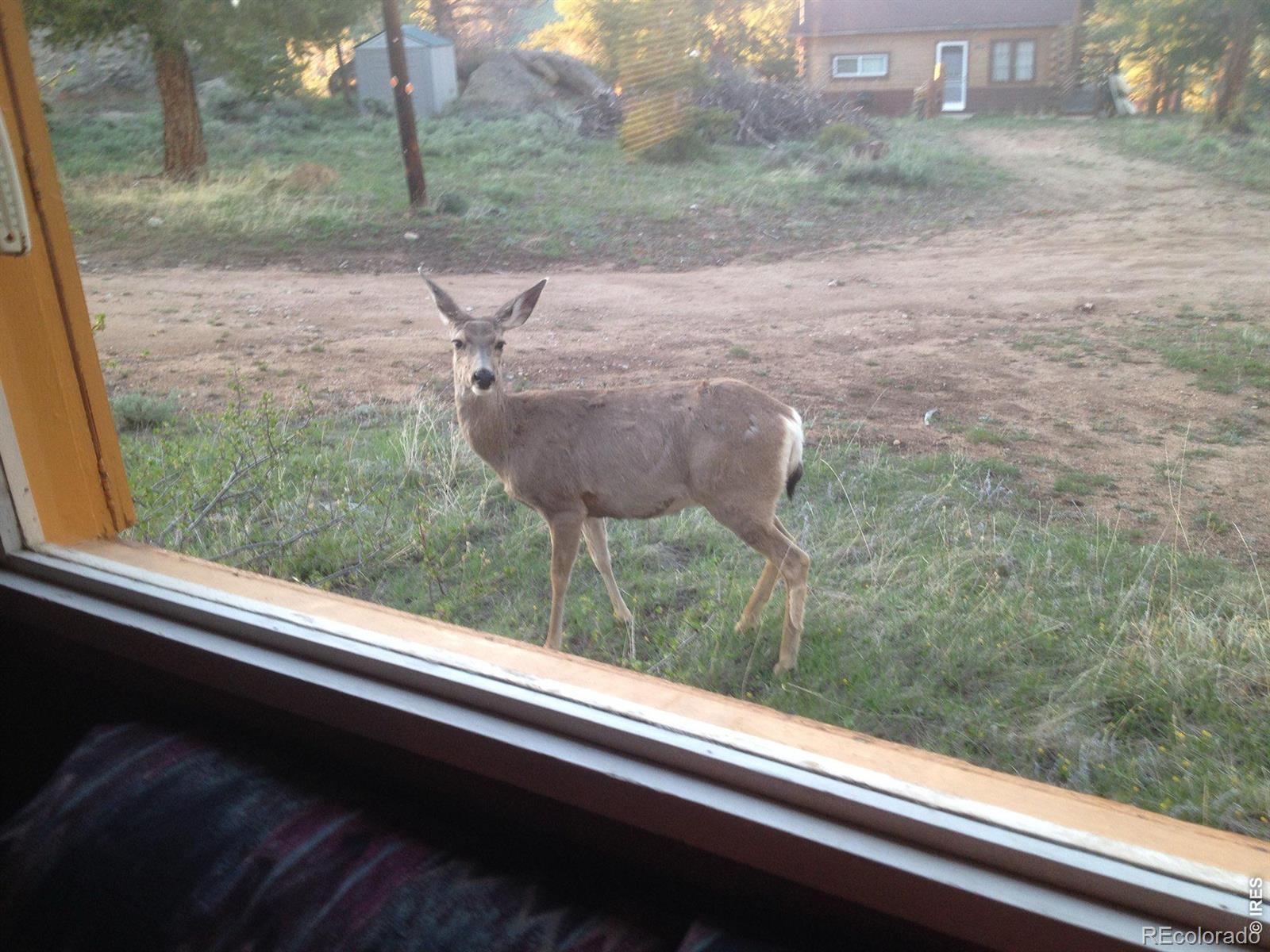 121 Pine Nut Lane Red Feather Lakes CO 80545