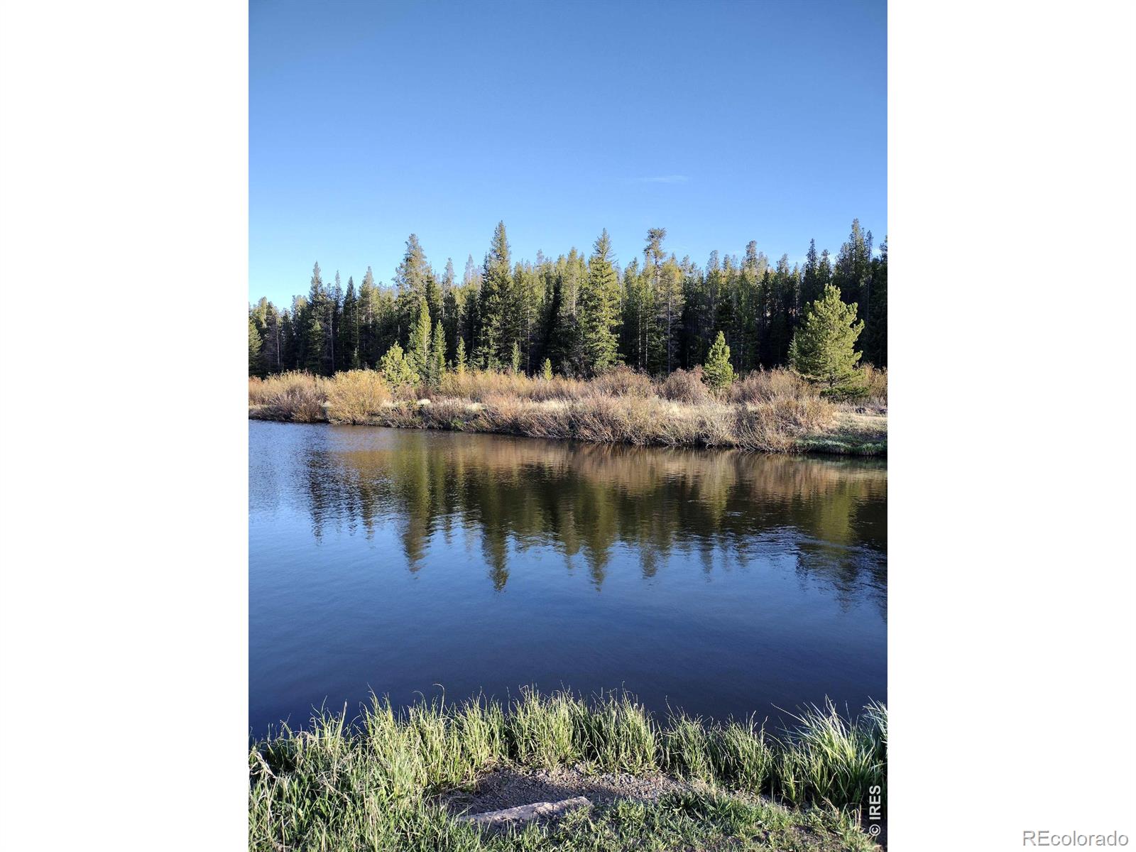 121 Pine Nut Lane Red Feather Lakes CO 80545