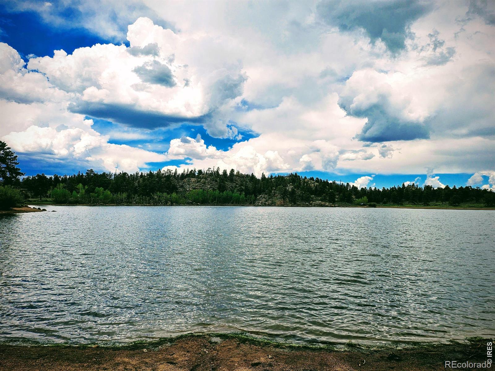 121 Pine Nut Lane Red Feather Lakes CO 80545